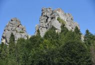 DSC 2142-min