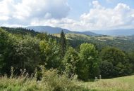 DSC 2684-min