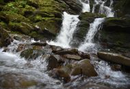 DSC 2805-min