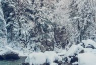 IMG 3087-min