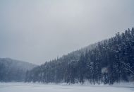 IMG 3198-min
